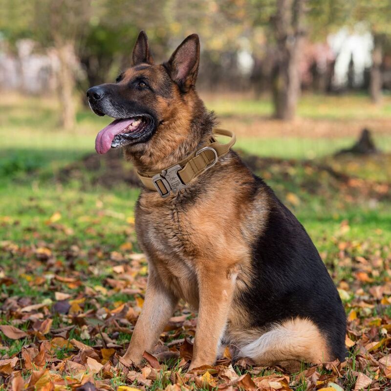 Tactical Dog Collar - Military Dog Collar With Control Handle, Adjustable Nylon Padded Dog Collar For Medium Large Dogs - Image 4