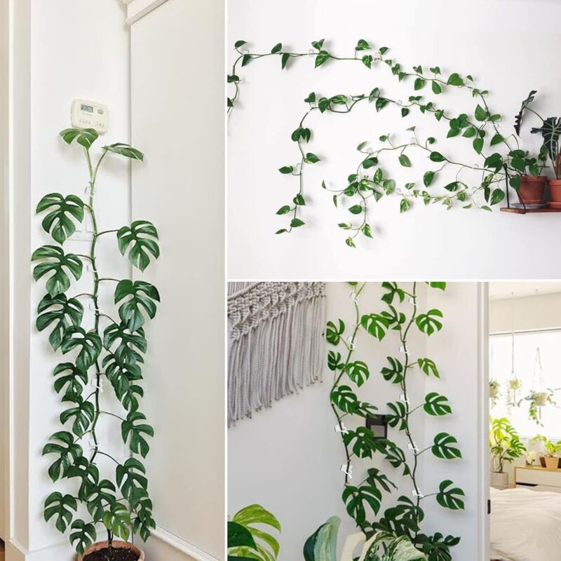 100 pcs Climbing Plant Support Clip, Wall Plant Clip, Vine Wall Clip, Clip For Climbing Plants -White - Image 4