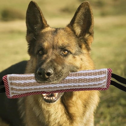 Dog Bite Toys, Dog Bite Toys, Dog Bite Toys, Jute Dog Bite Toys, Dog Training Toys, Interactive Toys For Medium To - Image 4