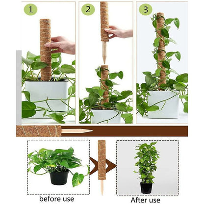 2 pcs Plant Stake, Coco Stake, Coco Pole, Coco Stick For Home Garden Climbing Plants Plant Support Extension - Image 4