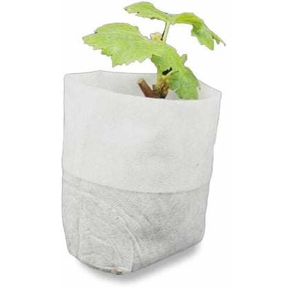 500 pcs Non-Woven Plant Bags, Biodegradable Non-Woven Fabric Plant Bags Seedling Grow Bags For Tomatoes, Flowers, - Image 2