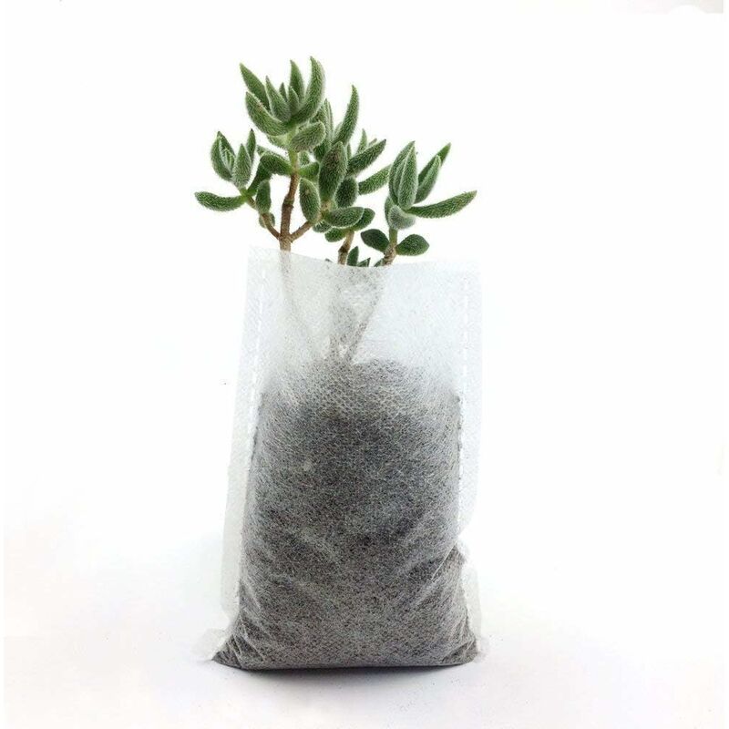 500 pcs Non-Woven Plant Bags, Biodegradable Non-Woven Fabric Plant Bags Seedling Grow Bags For Tomatoes, Flowers, - Image 3