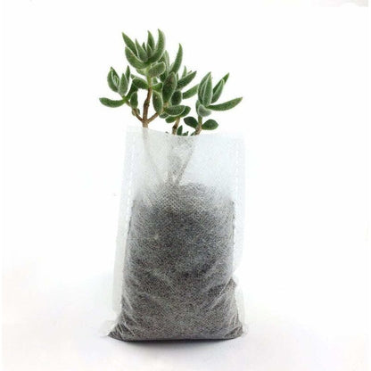 500 pcs Non-Woven Plant Bags, Biodegradable Non-Woven Fabric Plant Bags Seedling Grow Bags For Tomatoes, Flowers, - Image 3
