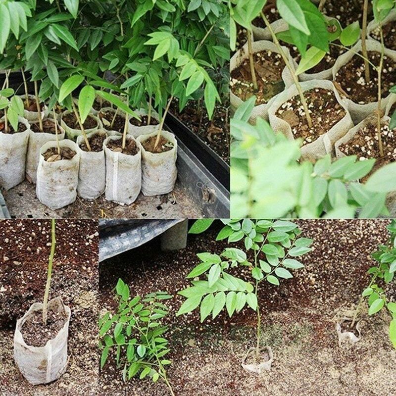 500 pcs Non-Woven Plant Bags, Biodegradable Non-Woven Fabric Plant Bags Seedling Grow Bags For Tomatoes, Flowers, - Image 4