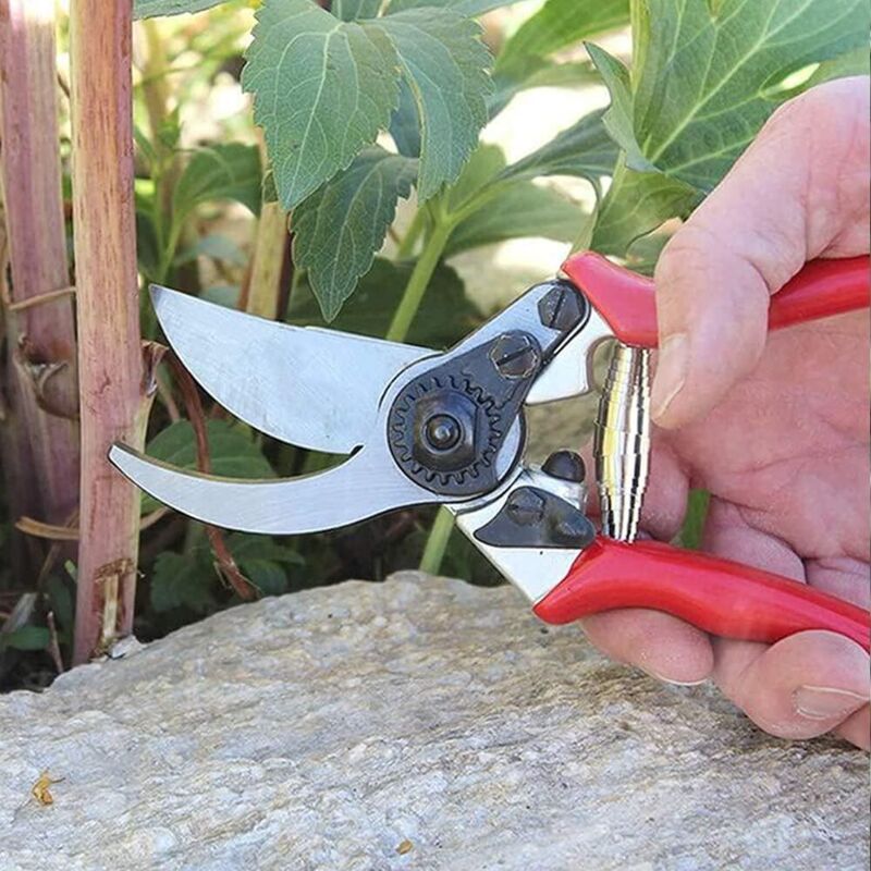 Volute Pruner Springs, Replacement Volute Spring, Stainless Steel Garden Pruner Spring Parts, Replacement Springs - Image 3