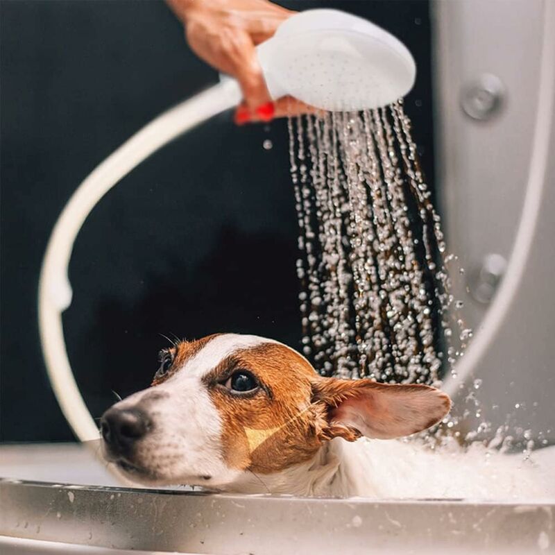 Single Shower Head For Bath Sink Or Toilet Sink, Shower Hose, Quick Connect Single Shower Faucet, Kids Pet Shampoo - Image 4
