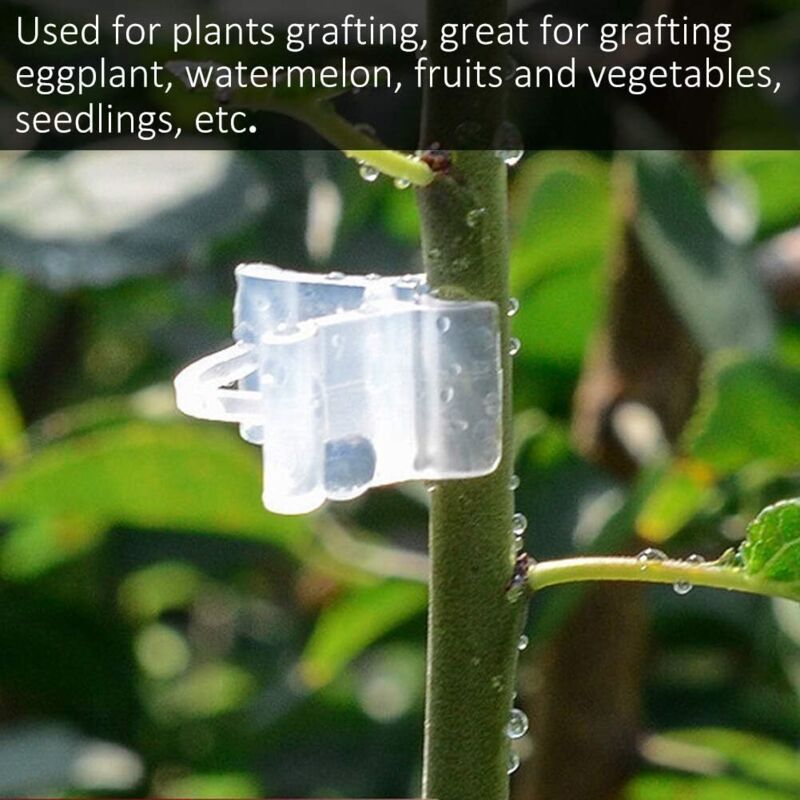 Gardening Grafting Clips 100 pcs Plastic Grafting Support Garden Clip Vegetable Vine Tomato Fruit Trees Mini Gardening - Image 2