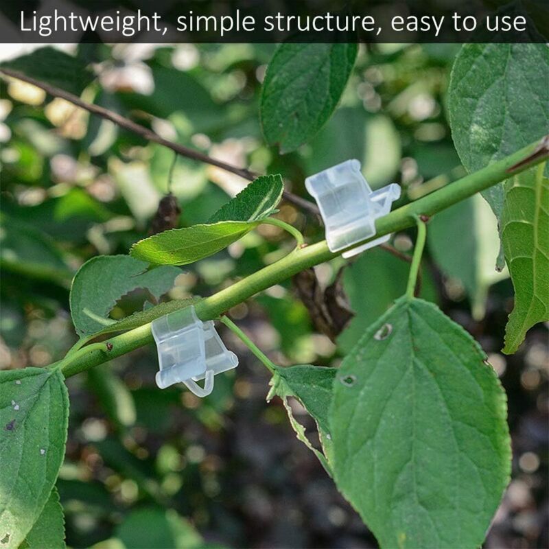 Gardening Grafting Clips 100 pcs Plastic Grafting Support Garden Clip Vegetable Vine Tomato Fruit Trees Mini Gardening - Image 3