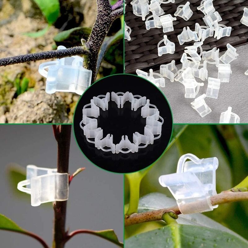 Gardening Grafting Clips 100 pcs Plastic Grafting Support Garden Clip Vegetable Vine Tomato Fruit Trees Mini Gardening - Image 4