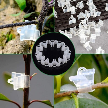 Gardening Grafting Clips 100 pcs Plastic Grafting Support Garden Clip Vegetable Vine Tomato Fruit Trees Mini Gardening - Image 4