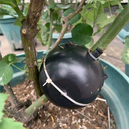 Plant ROoting Device Plant ROot Ball Plant ROoting Ball,Plant ROot Grafting Box For ROses,Trees,Fruit Shrubs - Image 3