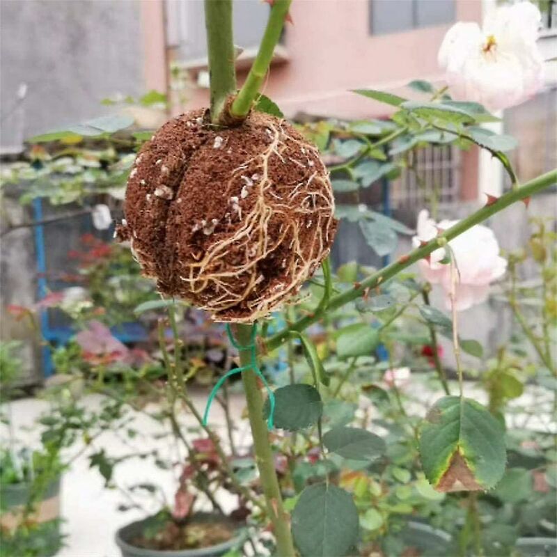 Plant ROoting Device Plant ROot Ball Plant ROoting Ball,Plant ROot Grafting Box For ROses,Trees,Fruit Shrubs - Image 4