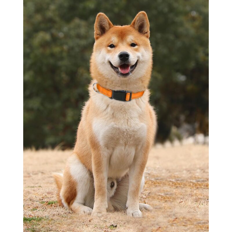 Dog Collar, Classic Adjustable Reflective Nylon Collar Suitable For Medium Dogs, Orange, 2.5Cm Width - Image 2