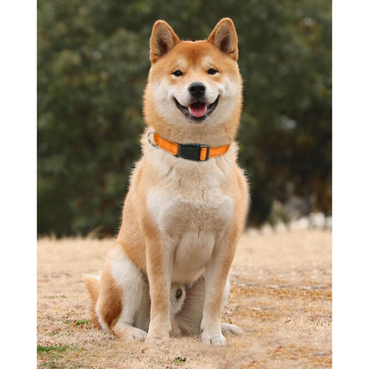 Dog Collar, Classic Adjustable Reflective Nylon Collar Suitable For Medium Dogs, Orange, 2.5Cm Width - Image 2