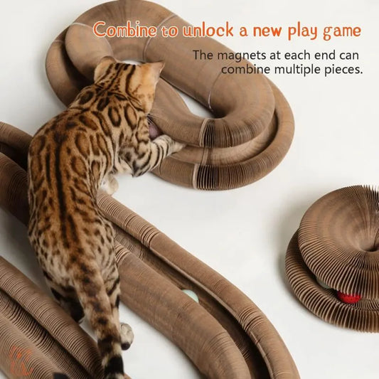 Magic Organ Interactive Scratching Toy - The Ultimate Interactive Mental And Physical Exercise For Indoor Cats - Image 2