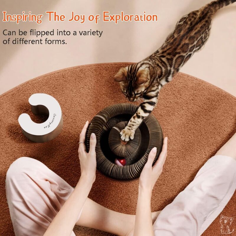 Magic Organ Interactive Scratching Toy - The Ultimate Interactive Mental And Physical Exercise For Indoor Cats - Image 3