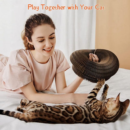 Magic Organ Interactive Scratching Toy - The Ultimate Interactive Mental And Physical Exercise For Indoor Cats - Image 4