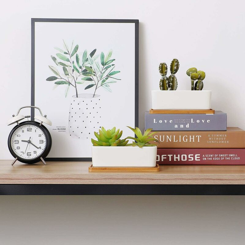 17Cm Ceramic Succulent Pot With Bamboo Tray White 2 pcs Set, Cactus Planter Cache Pot Jardinière Container Gift For - Image 2