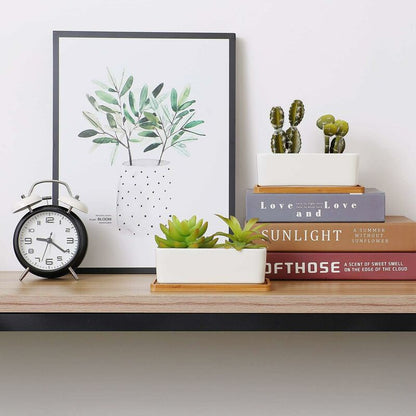 17Cm Ceramic Succulent Pot With Bamboo Tray White 2 pcs Set, Cactus Planter Cache Pot Jardinière Container Gift For - Image 2