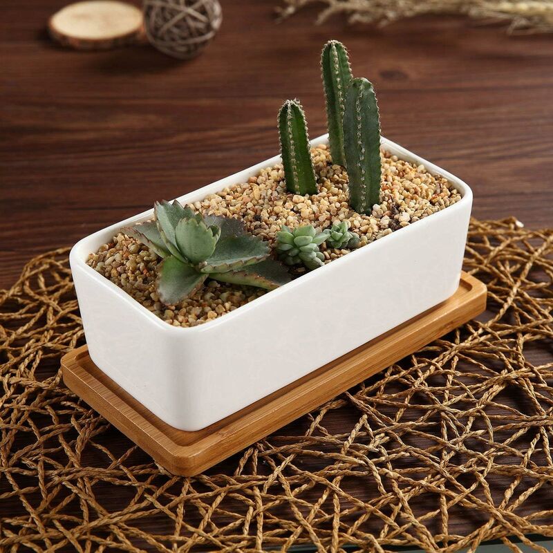 17Cm Ceramic Succulent Pot With Bamboo Tray White 2 pcs Set, Cactus Planter Cache Pot Jardinière Container Gift For - Image 3