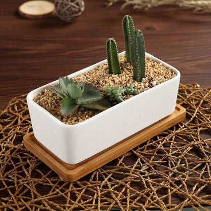 17Cm Ceramic Succulent Pot With Bamboo Tray White 2 pcs Set, Cactus Planter Cache Pot Jardinière Container Gift For - Image 3