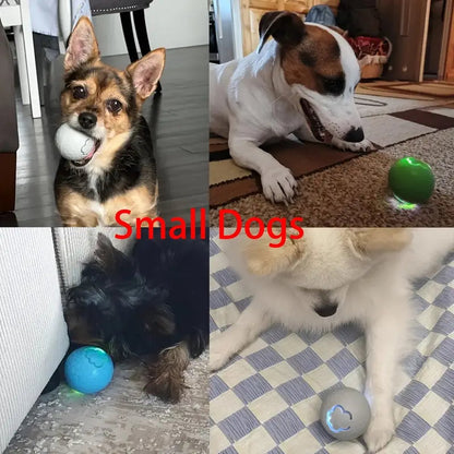 Interactive Dog Toy - Self-Rolling Dog Ball - Durable Automatic Dog Ball, Light Grey - 5.6 cm - Image 7