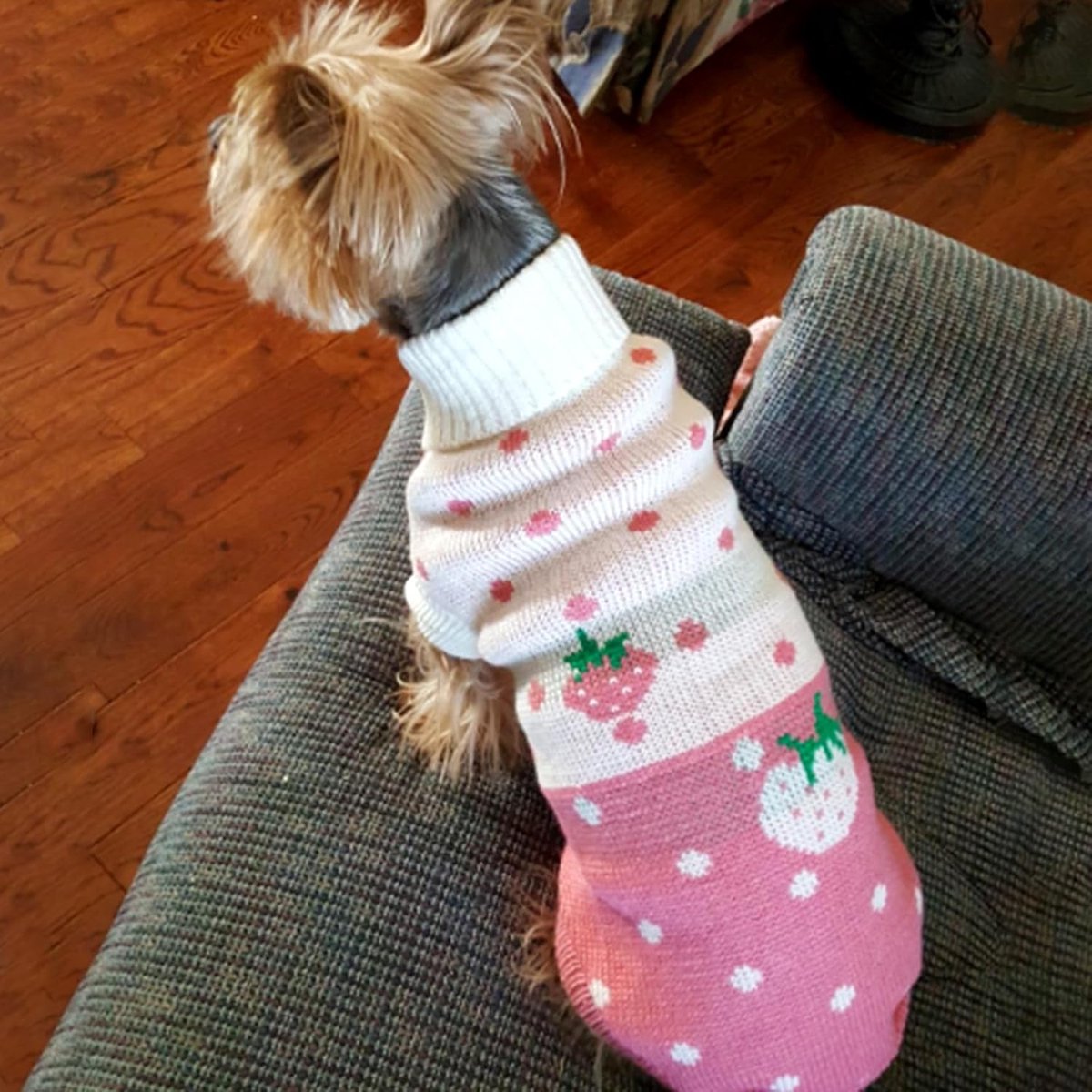 Dog Coat - Dog Sweater - Dog Pullover - Classic Turtleneck Knit Dog Sweater - Warm Winter Dog Clothes - Cute Strawberry Heart Pattern - Perfect for Small and Medium Dogs - Pink - Size S - Image 4