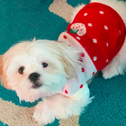 Dog Coat - Dog Sweater - Classic Turtleneck Knit Dog Sweater - Warm Winter Dog Clothes - Cute Strawberry Heart Pattern - Perfect for Small and Medium Dogs - Red - Size L - Image 4
