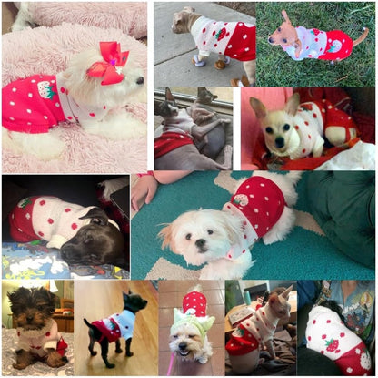 Dog Coat - Dog Sweater - Classic Turtleneck Knit Dog Sweater - Warm Winter Dog Clothes - Cute Strawberry Heart Pattern - Perfect for Small and Medium Dogs - Red - Size L - Image 5