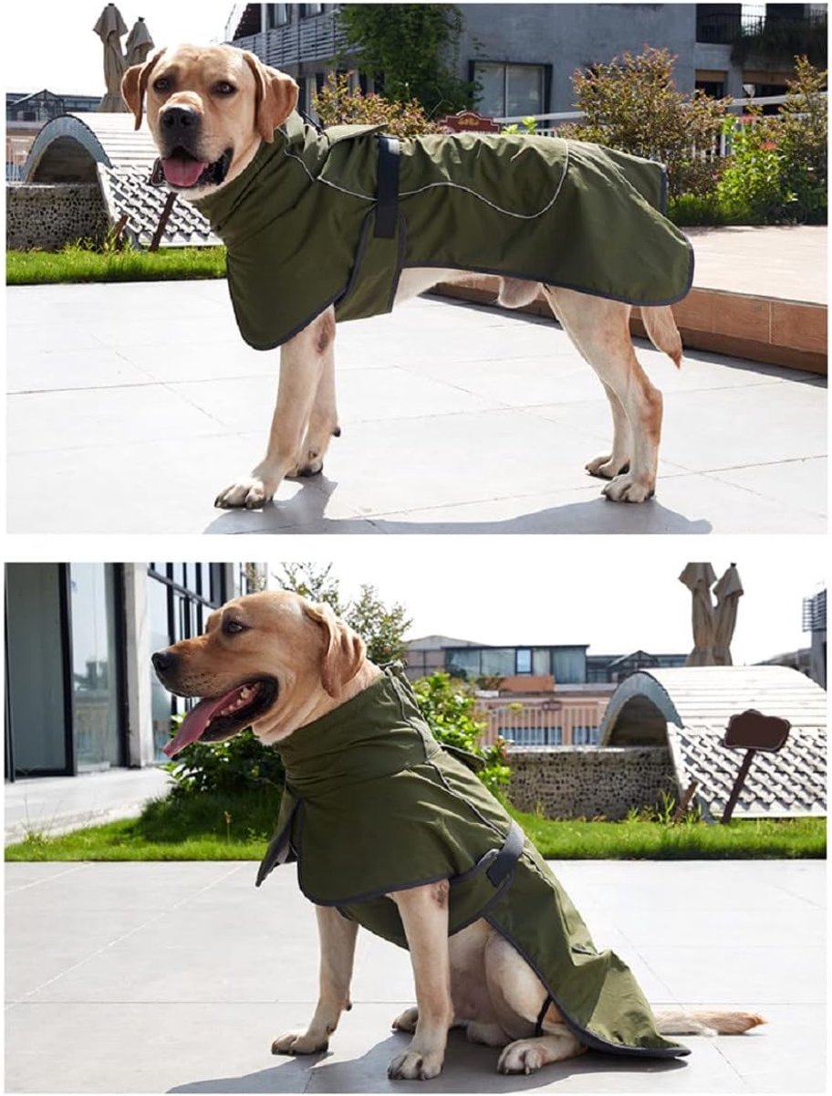 Dog Raincoat - Dog Jacket - Waterproof Winter Dog Coat - Windproof Dog Coat - Winter Dog Coat - Reflective Strip - Green - Size M - Perfect for Small and Medium Dogs - Image 5
