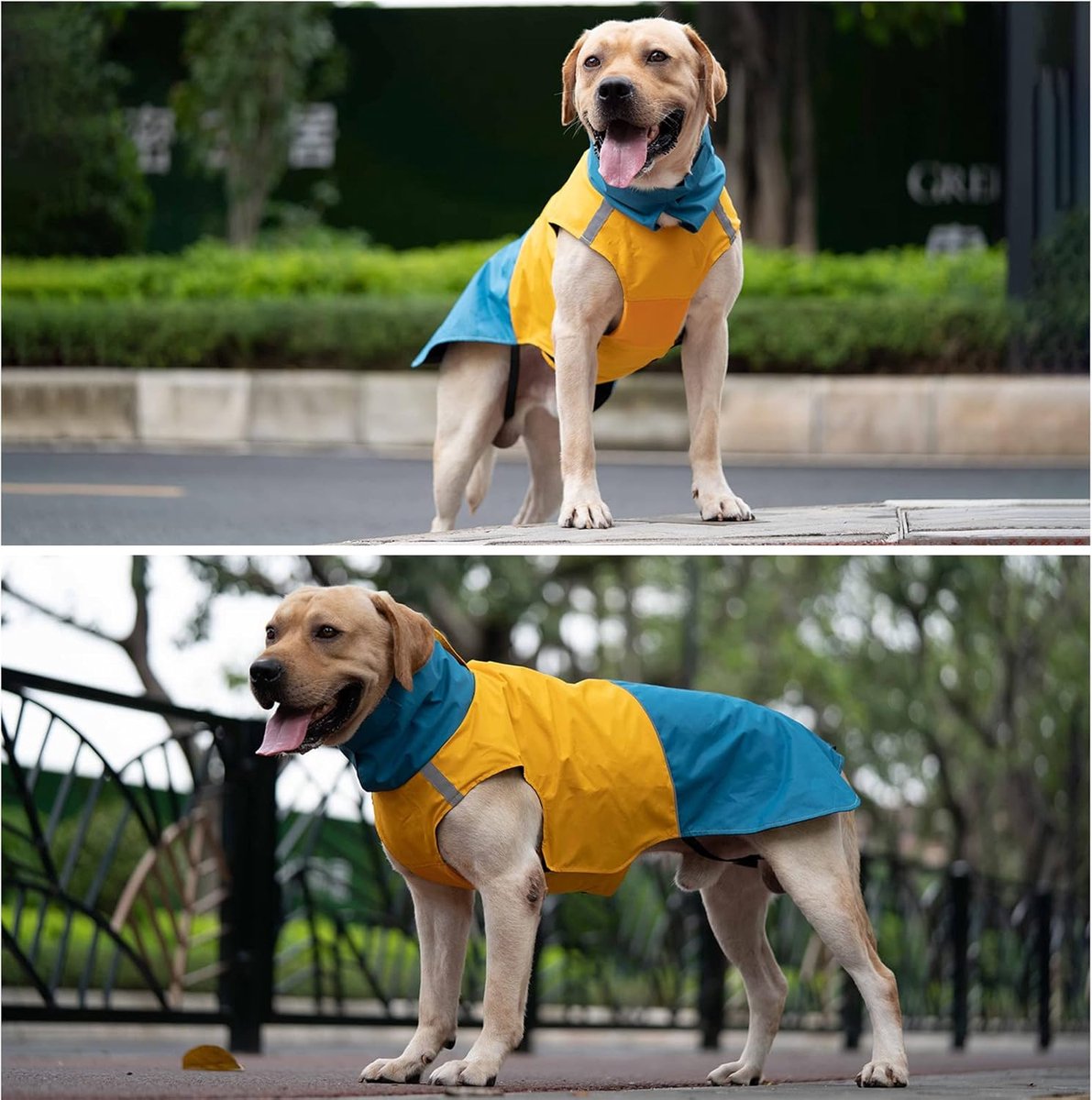 Dog Raincoat - Dog Jacket - Waterproof Winter Dog Jackets - Windproof Dog Jacket - Winter Dog Jacket - Reflective Strip - Perfect for Small Dogs - Medium-Sized Dogs - Blue and Yellow - Size S - Image 3