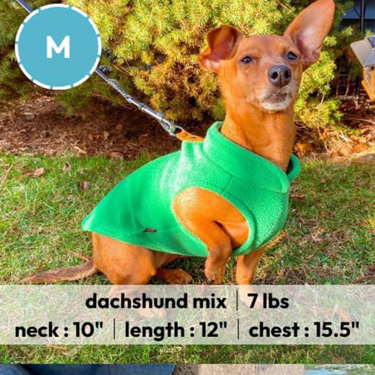Dog coat - Fleece dog vest - Winter dog coat - Warm dog coat - Fleece dog sweater - Ring leash - Perfect for small dogs - Medium-sized dogs - Black - Size M - Image 2