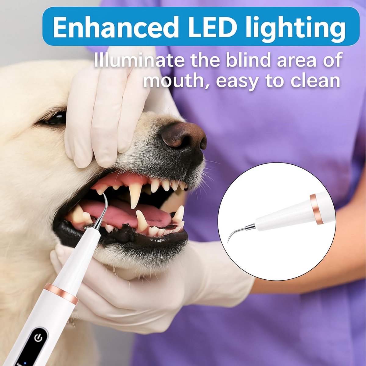 Electric Dog Toothbrush - Dental Cleaning Tools - Dog Toothbrush Set with LED Light - Rechargeable Dental Device, Anti-Plaque for Dogs and Cats - Wit - Image 2