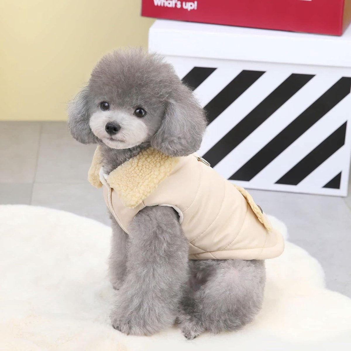 Dog Coat - Extreme Cold Weather Coat - Winter Dog Coat - Warm Dog Coat - Windproof Dog Coat - Velvet Dog Coat - Thick Winter Clothing - Fur Collar - Perfect for Dogs - Size XXL - Khaki - Image 7