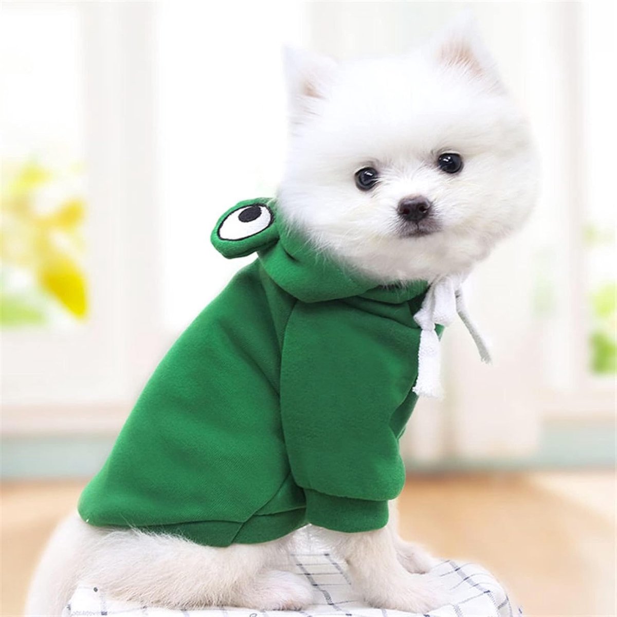 Dog Coat - Warm Winter Dog Clothes - Cute Frog Dog Coat - Hooded Sweatshirt - Warm Dog Coat - Fleece Dog Clothes - Perfect for French Bulldogs - Chihuahuas - Green - Size L - Image 4