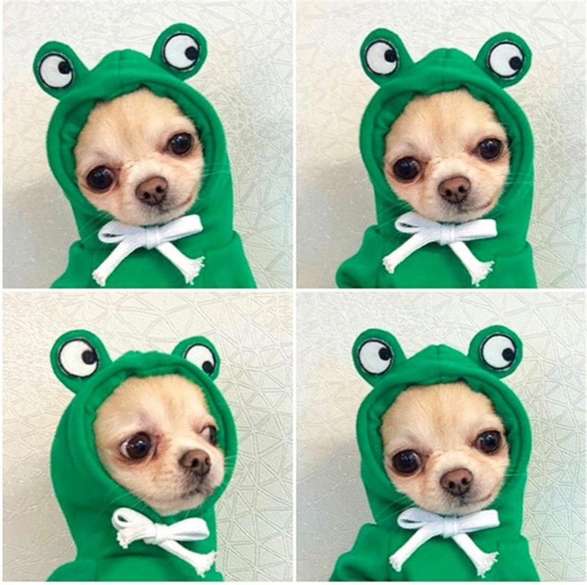 Dog Coat - Warm Winter Dog Clothes - Cute Frog Dog Coat - Hooded Sweatshirt - Warm Dog Coat - Fleece Dog Clothes - Perfect for French Bulldogs - Chihuahuas - Green - Size L - Image 5