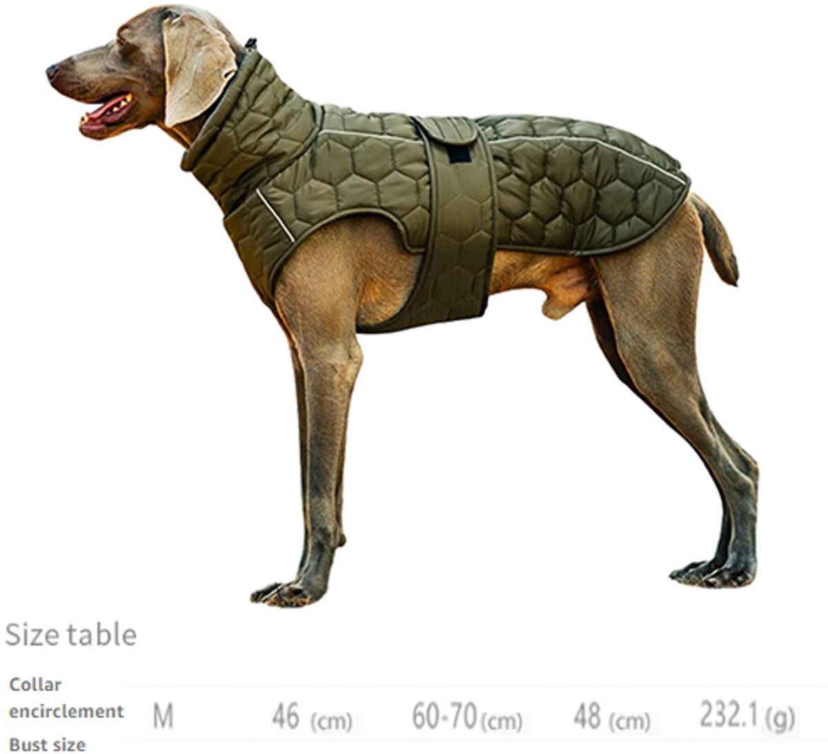 Dog Coat - Winter Dog Coat - Warm Dog Coat - Waterproof Dog Coat - Adjustable Reflective Coat - Velcro Design - Ideal for Medium-Sized Dogs - Size M - Green - Image 2