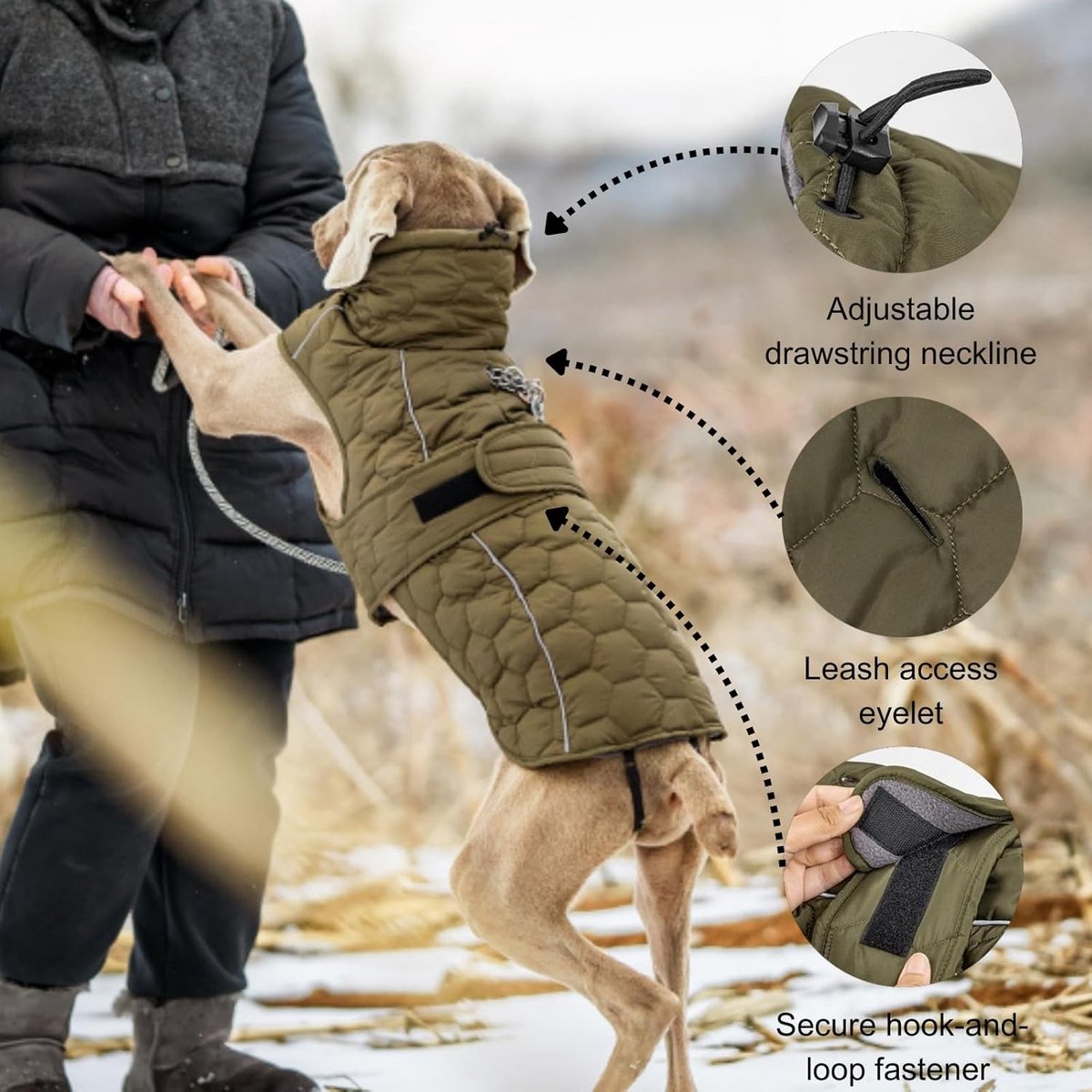 Dog Coat - Winter Dog Coat - Warm Dog Coat - Waterproof Dog Coat - Adjustable Reflective Coat - Velcro Design - Ideal for Medium-Sized Dogs - Size M - Green - Image 3