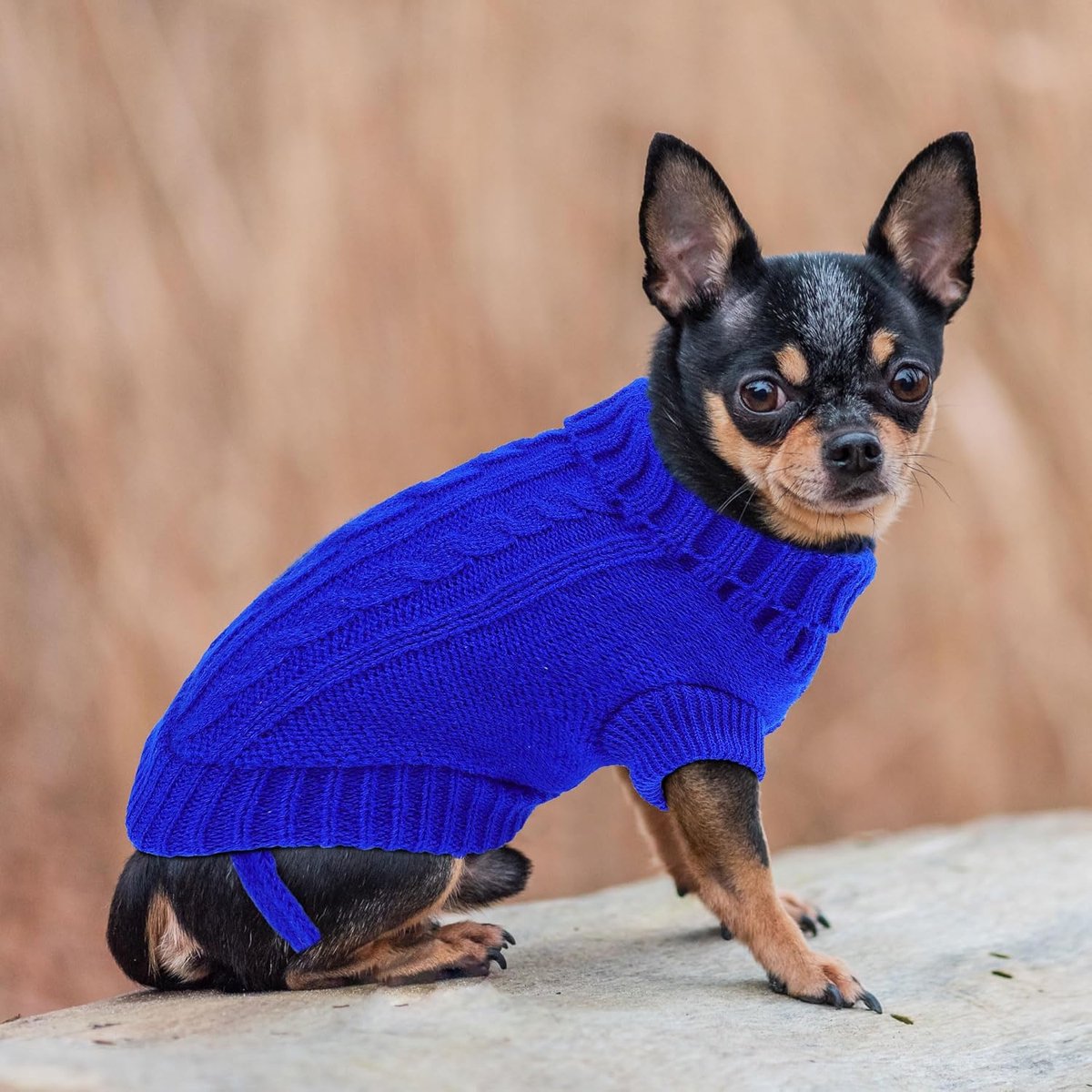 Dog Coat - Dog Sweater - Small Dog Sweater - Warm Dog Coat - Warm Puppy Sweater - Thick Knit Winter Sweater - Soft Roll Neck Sweater - Perfect for Small Dogs and Puppies - Christmas - Size M - Image 3