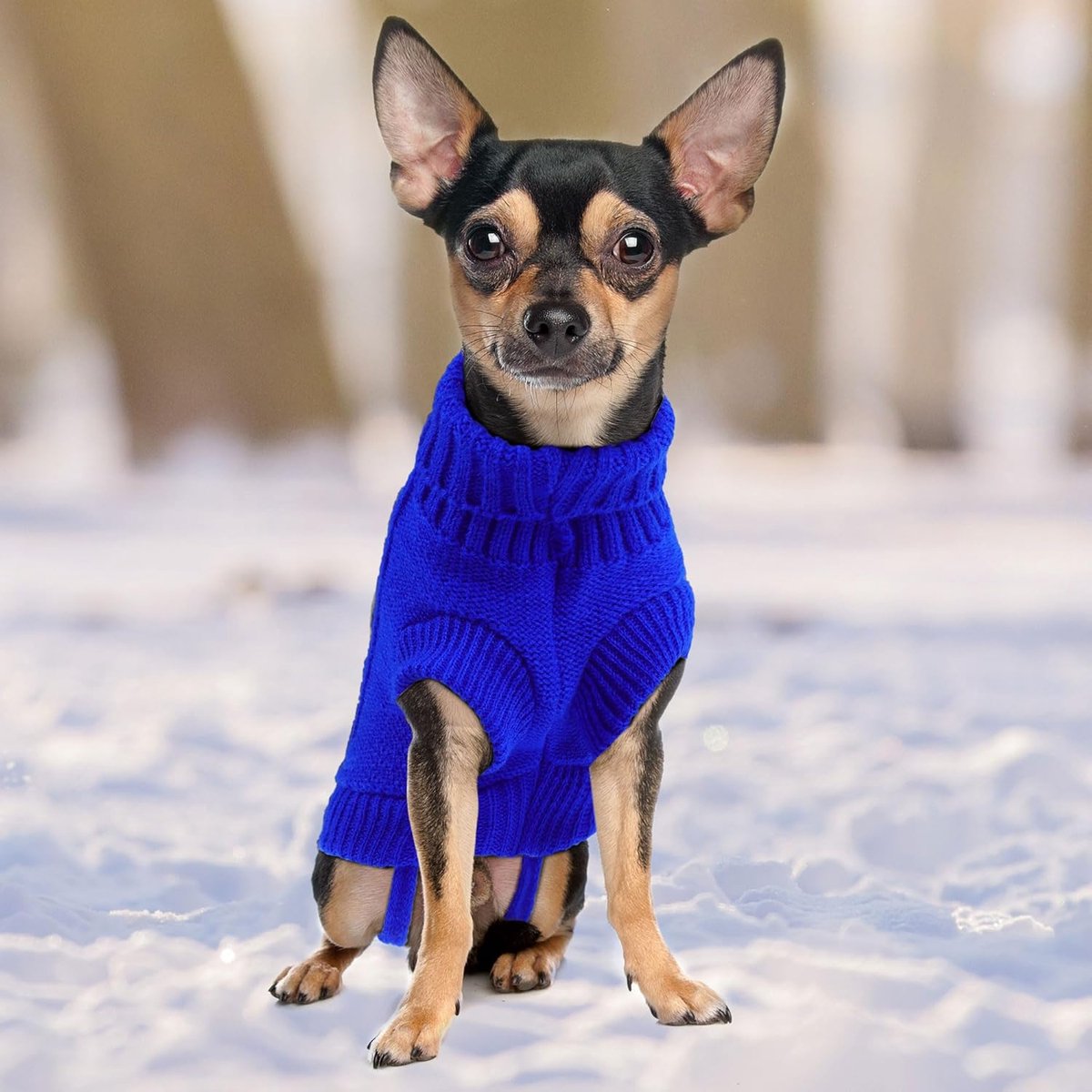 Dog Coat - Dog Sweater - Small Dog Sweater - Warm Dog Coat - Warm Puppy Sweater - Thick Knit Winter Sweater - Soft Roll Neck Sweater - Perfect for Small Dogs and Puppies - Christmas - Size M - Image 5