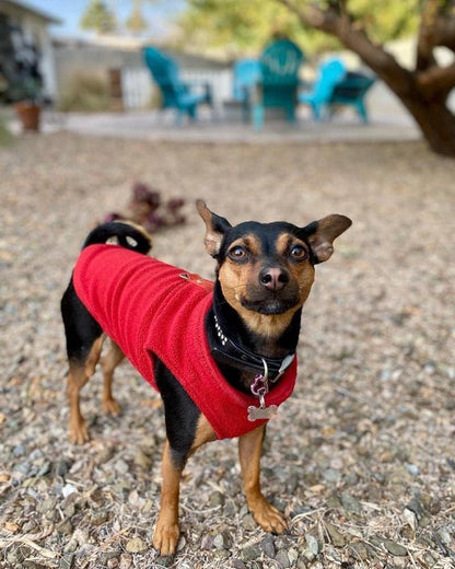 Dog Coat - Fleece Dog Vest - Winter Dog Sweater - Warm Dog Coat - Leash with O-Ring - Perfect for Small and Medium Dogs - Red - Size S - Image 5