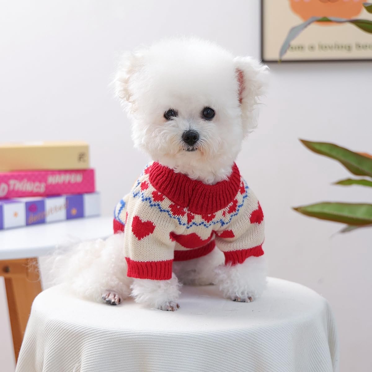 Dog Coat - Dog Sweater - Warm Winter Dog Clothes - Knit Sweater - Dog Pullover - Lightweight and Warm Cat Sweater - Perfect for Chihuahuas - Birthday Clothes - Christmas Decorations - Christmas - Size M - Image 3