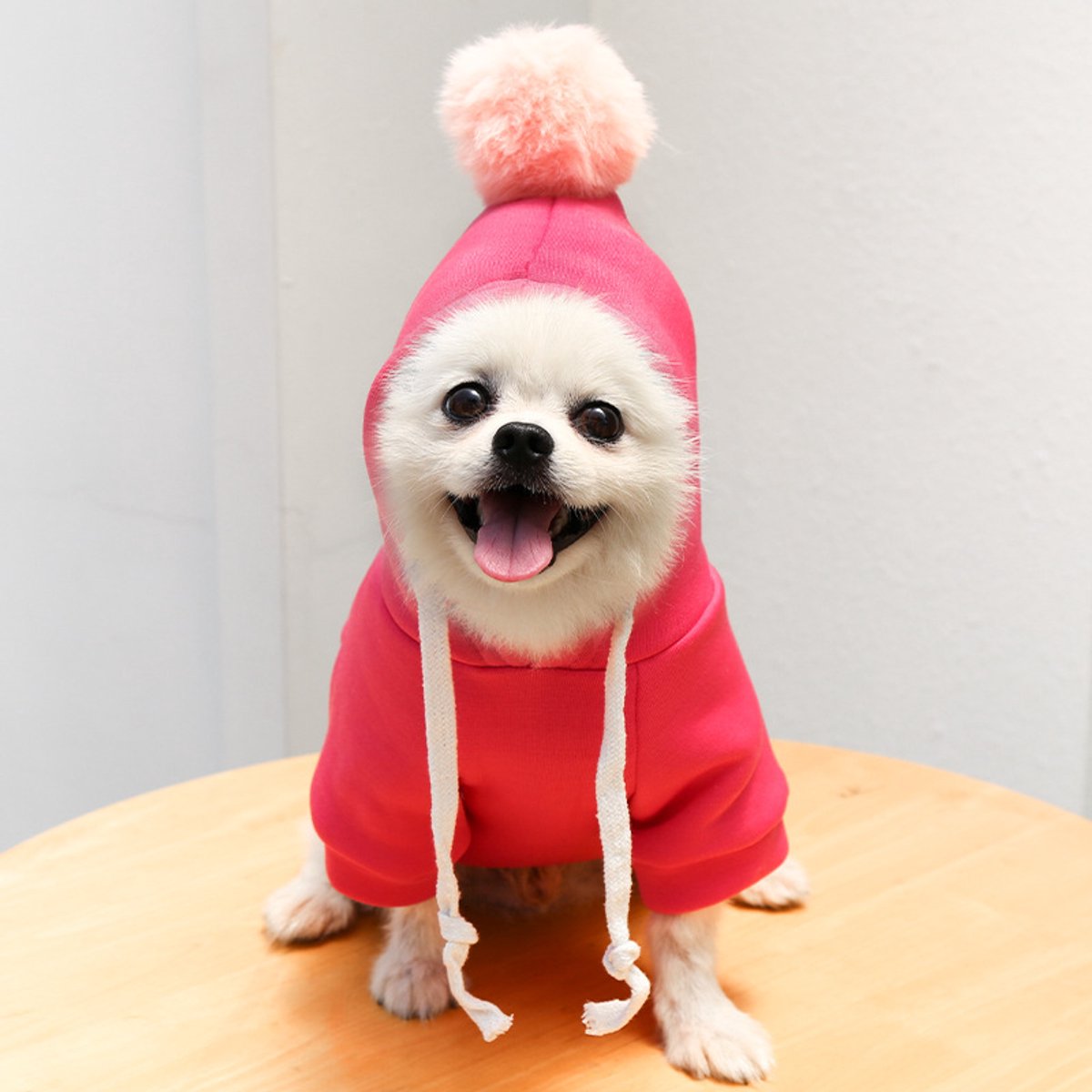 Dog Coat - Cute Fruit Pattern Coat - Warm Dog Coat - Hooded Sweatshirt - Fleece Dog Clothes - Perfect for French Bulldog - Chihuahua - Rose Red - XL - Party Decoration - Image 2