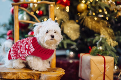 Dog Sweater - Christmas Dog Sweaters - Sleeveless Dog Sweaters - Dog Coat - Warm Autumn and Winter Puppy Sweater - Ugly Sweater - Perfect for Small Dogs - Dog - Medium - New Year's Holidays - S - Image 5