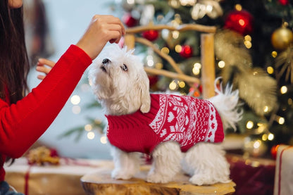 Dog sweater - Christmas sweaters for dogs - Sleeveless dog sweaters - Dog coat - Warm sweater for puppies in autumn and winter - Ugly sweater - Perfect for small dogs - Dog - Medium - New Year's holidays - Image 4