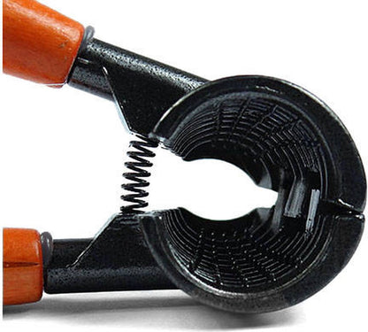 TR Goods - Steel nutcracker with wooden handle - Suitable for all nuts, including walnuts, hazelnuts and almonds - Image 5
