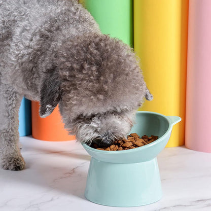Cat bowl - Feeders - Tilting bowl - Anti-vomiting - Angled design - Blue - Perfect for cats - Indoor use - Pet accessories - Green - Image 3