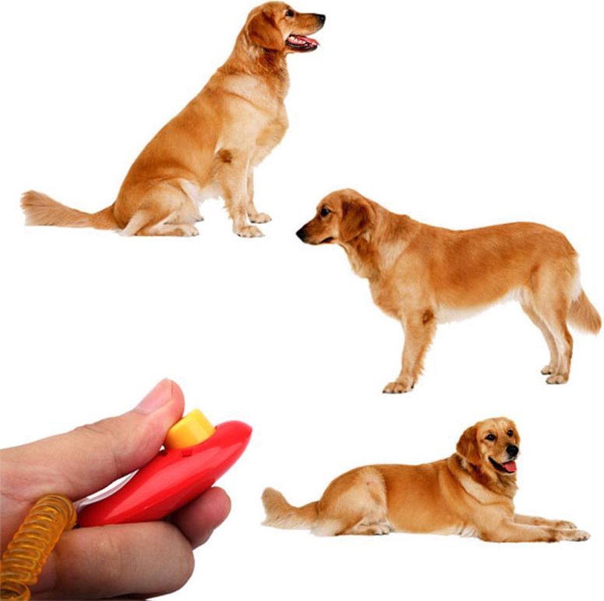 Handy clicker for clicker training - Blue - Image 2