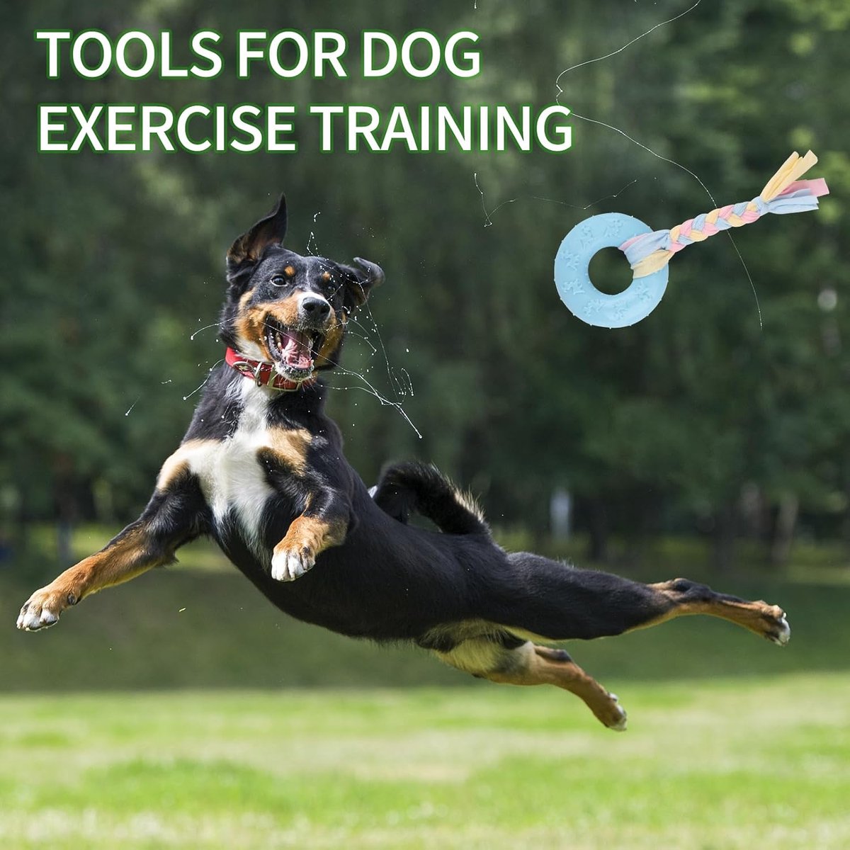 4 PCS Puppy Chew Toys - Relieves teething - Soft rubber & rope toys - Durable and interactive - Suitable for small dog breeds - Image 4