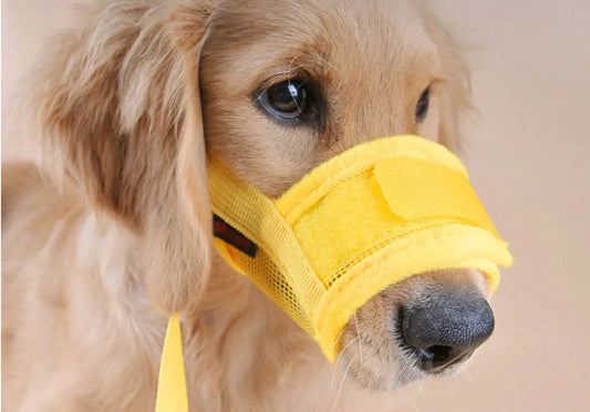 Muzzle for dogs - Soft, breathable - Small dogs, size XL yellow - Image 2